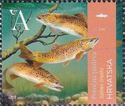 [Marine Life - Freshwater Fishes, type BIE]