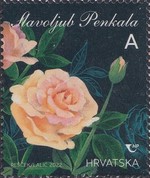 [Croatian Flowers - Roses, type BCN]