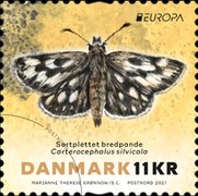[Insects - Butterflies, type BAL]