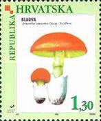 [Edible Mushrooms, type NB]