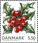 [Danish Winter Flora, type AMR]