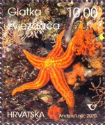 [Sea Life in Croatia, type AXI]