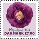 [Flowers - Roses, type AXC]