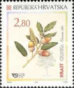 [The Croatian Flora - Common Oak, type TJ]