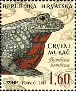 [Croatian Fauna - Amphibians, type AKP]