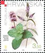 [Croatian Flora - Medicinal Herbs, type WC]