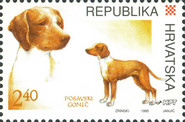 [Dogs, type HP]