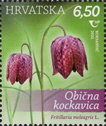 [Croatian Flora - Protected Species, type AYU]