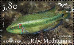 [EUROMED Issue - Fishes in the Mediterranean Sea, type AQT]