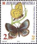[Butterflies, type RR]