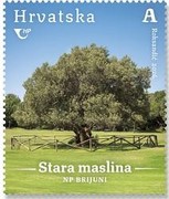 [Croatian Flora, type BJZ]
