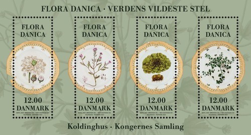 [Flora Danica, type ]