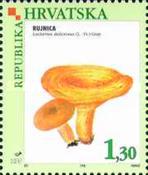 [Edible Mushrooms, type ND]