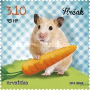 [Children's World - Pets, type AMB]