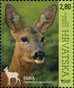 [Croatian Fauna - Woodland Animals, type AOI]