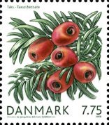 [Danish Winter Flora, type AMT]