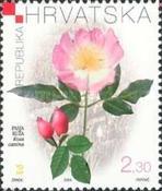 [Croatian Flora - Medicinal Herbs, type WA]