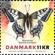 [Insects - Butterflies, type BAK]