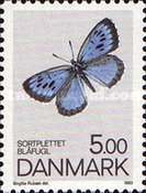 [Butterflies, type WN]