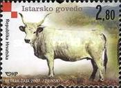 [Croatian Autochthonous Breeds, type AAK]
