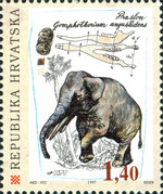[Palaeontological Finds in Croatia, type MJ]