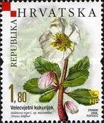 [Croatian Flora - Endemic Plants, type ABW]