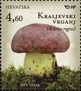 [Mushrooms, type ALI]