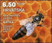 [Croatian Fauna - Honey Bee, type AVO]