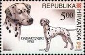[Dogs, type SB]