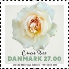 [Flowers - Roses, type AXF]