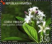 [Croatian Flora - White Water Lily, type ZQ]
