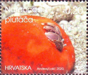 [Sea Life in Croatia, type AXJ]