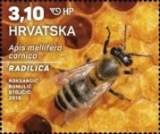 [Croatian Fauna - Honey Bee, type AVM]