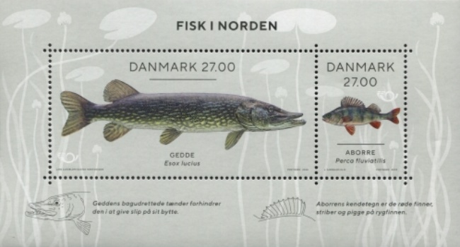 [NORDIC Issue - Fish in Nordic Waters, type ]