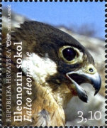 [Local Fauna - Brown Bear and Falcon, type AGV]