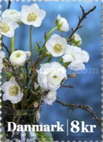 [Winter Flowers, type AXA]