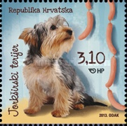 [Domestic Animals - Dogs, type AKM]