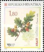 [The Croatian Flora - Common Oak, type TH]