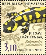 [Croatian Fauna - Amphibians, type AKQ]