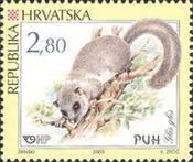 [Croatian Rodents, type UY]
