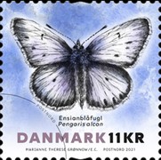 [Insects - Butterflies, type BAI]