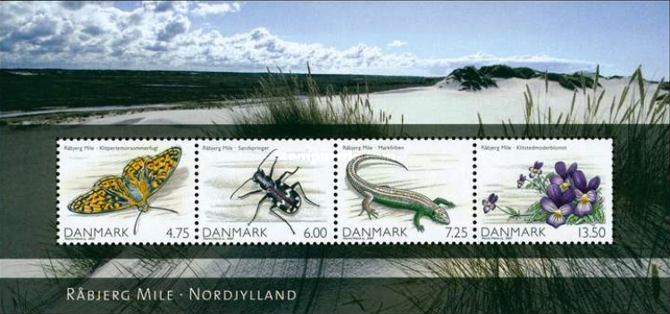 [Nature around Råbjerg Mile, type ]