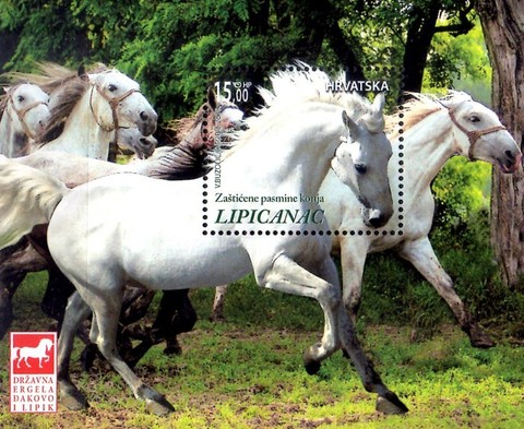[Protected Horse Breeds - Lipizzan Horse, type ]