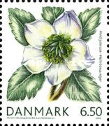 [Danish Winter Flora, type AMS]