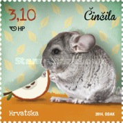 [Children's World - Pets, type AMA]