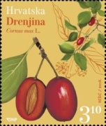 [Croatian Flora, type ATI]