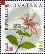 [Croatian Flora - Endemic Plants, type ABY]