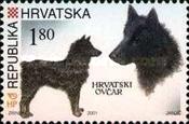 [Dogs, type SA]