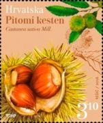 [Croatian Flora, type ATG]
