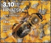 [Croatian Fauna - Honey Bee, type AVN]